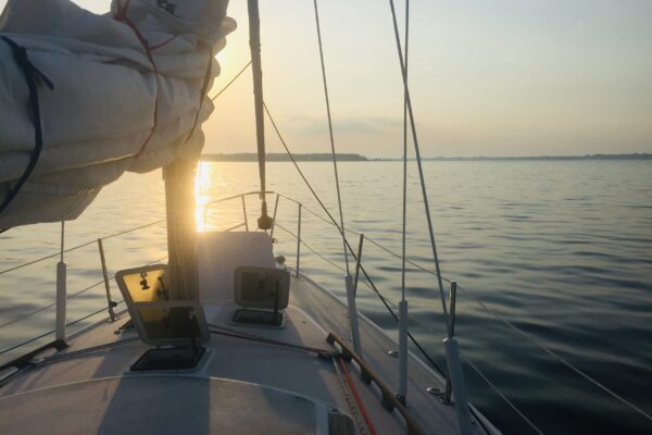 IMG_1407 IMG_1407